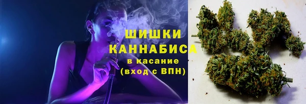 хмурый Аркадак