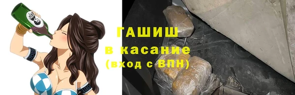 хмурый Аркадак