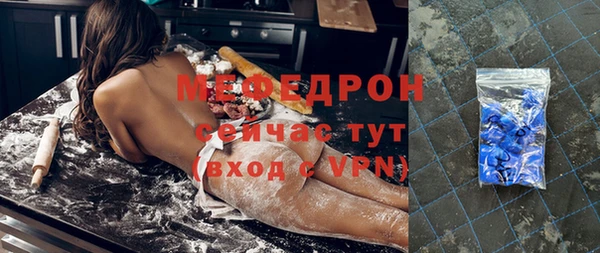 хмурый Аркадак