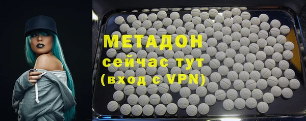 хмурый Аркадак