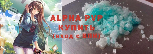 хмурый Аркадак